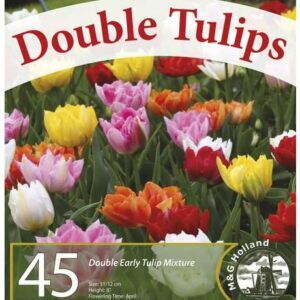 Double Tulip Mixture- 45 Perennial Tulip Bulbs