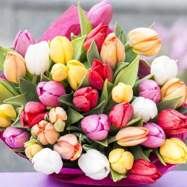 Votaniki Tulip Easter Basket Mix - Long Lasting Blooms, Perennial Tulip Bulbs for Planting | Stunning Garden Display - Easy to Grow