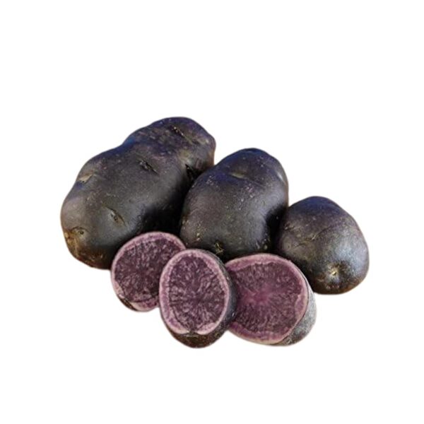 Votaniki Blue Potato Tubers - Nutritious and Delicious, High Yielding Potato Seed | Perfect Choice for Colorful Meals - Easy to Grow