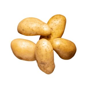 Votaniki Kennebec Potatoes Seed - Versatile and High Yielding and Long Term Storage Potato - Easy to Grow and Low Maintenance