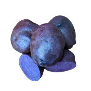 Votaniki Adirondack Blue Potato Tuber Seedling - Nutty Flavor, High Harvest Potato | Adirondack Blue Potato Tubers for Planting - Easy to Grow