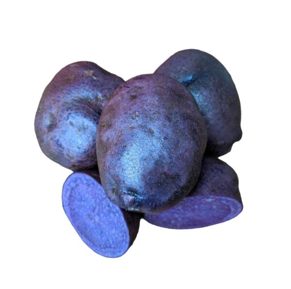 Votaniki Adirondack Blue Potato Tuber Seedling - Nutty Flavor, High Harvest Potato | Adirondack Blue Potato Tubers for Planting - Easy to Grow