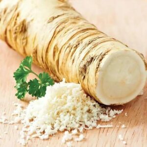 Votaniki Horseradish Marliner Kren Root for Planting - Hardy & Perennial, Huge Yields, Large White Horseradish (Armoracia Rusticana), Large Root - Easy to Grow