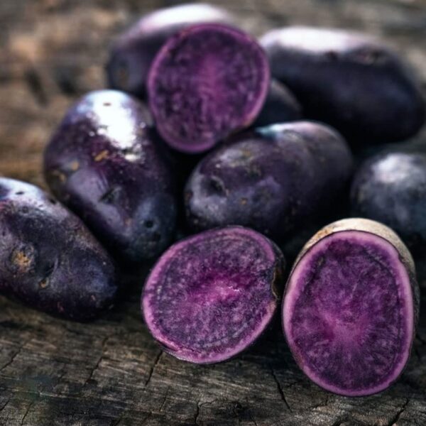 Votaniki Purple Majesty Potato Tubers - High Yielding, Unique and Nutritious Harvest, Potato Tubers for Planting - Low Maintenance & Easy to Grow