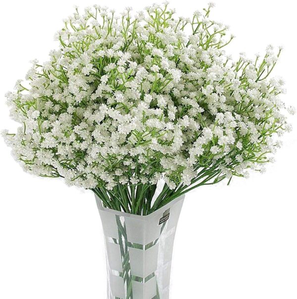 Votaniki White Baby's Breath - Perennials, Tiny Flowers, Gypsophila Paniculata (Baby's Breath) #1 Size Roots | Summer Flowers, Easy to Grow