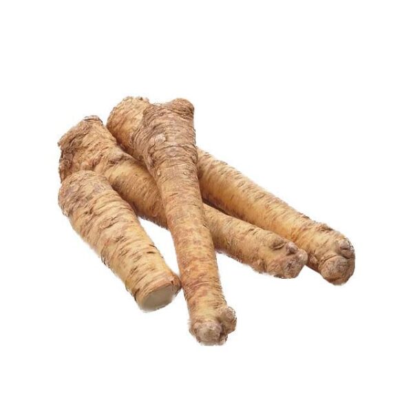 Votaniki Horseradish Marliner Kren Root for Planting - Hardy & Perennial, Huge Yields, Large White Horseradish (Armoracia Rusticana), Large Root - Easy to Grow